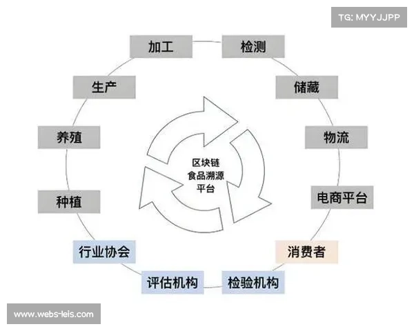 智能化推进阶段内区块链溯源技术入场 确保了体育直播系统的信号唯一性